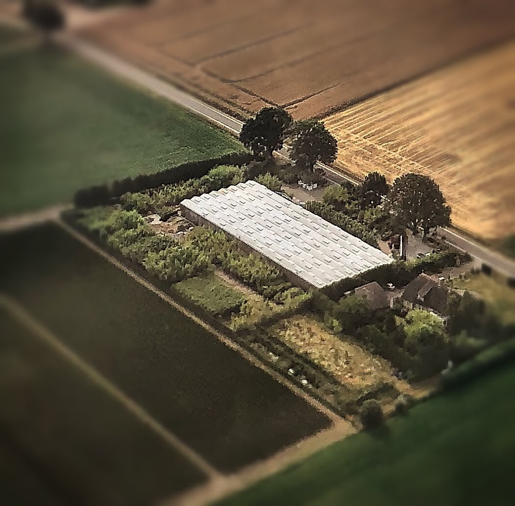 onze kas waar de bamboe gekweekt wordt vanuit de luch gezien.